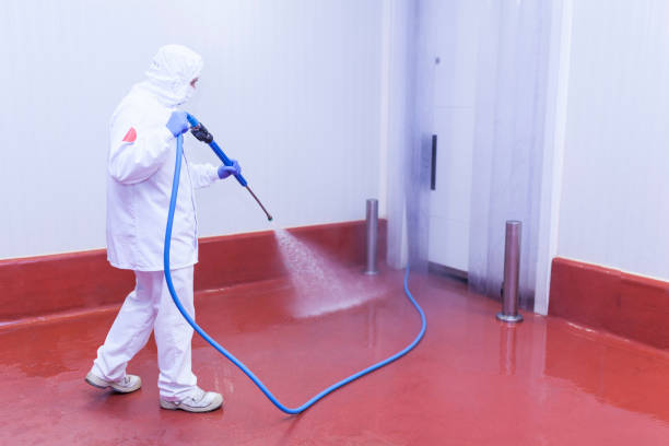 Best Playground Equipment Cleaning  in Clarksburg, WV