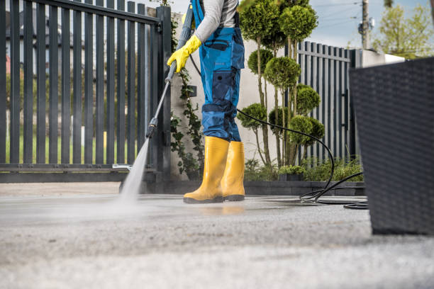 Best Gutter Cleaning  in Clarksburg, WV